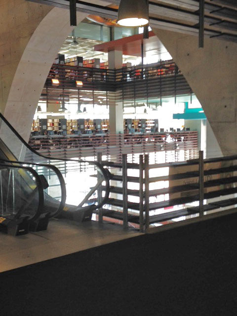 Read more about the article Something Different–Touring a Library