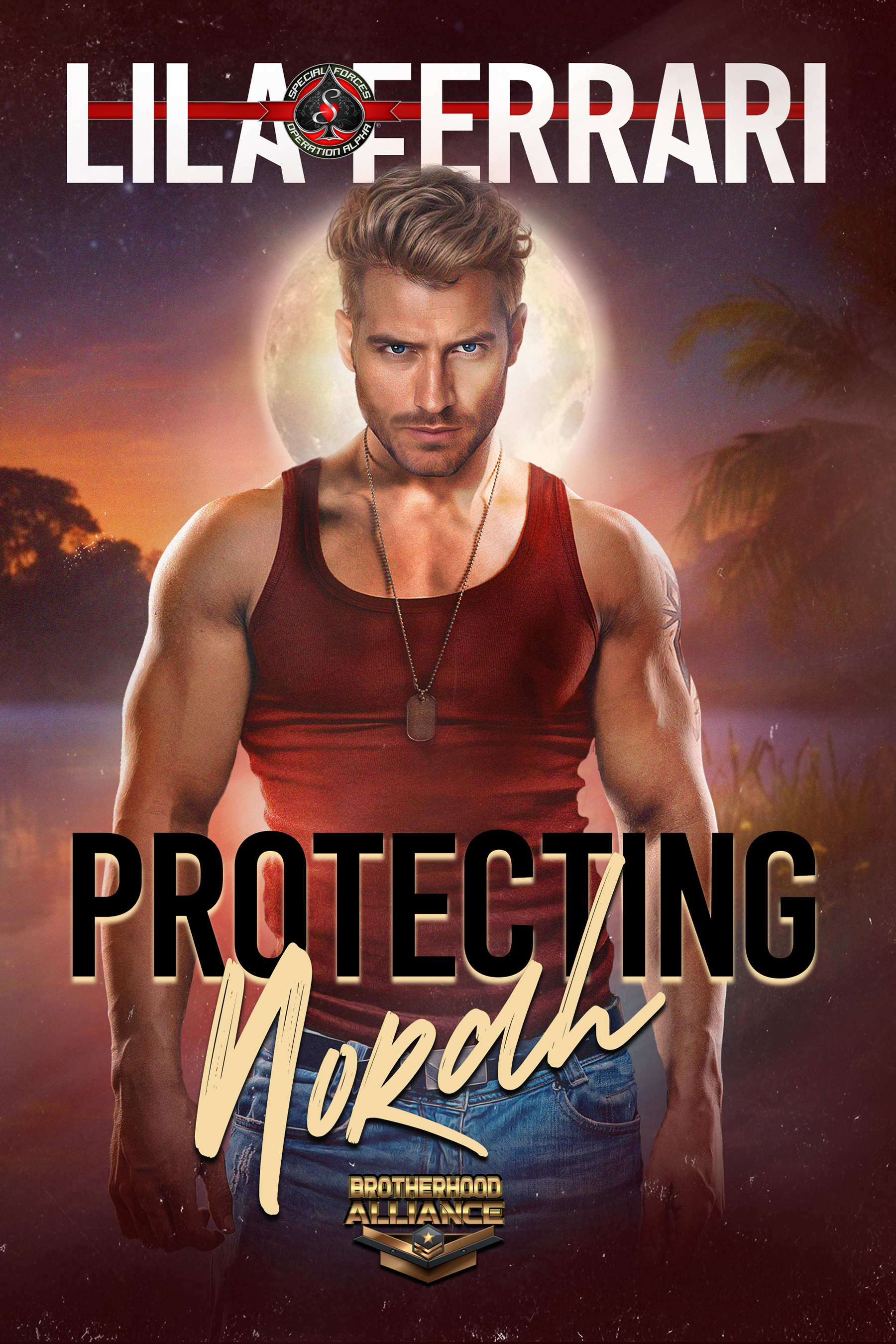 Protecting Norah by Lila Ferrari, romantic suspense featuring a former Army Ranger, a woman in hiding, found family, and danger from the past.